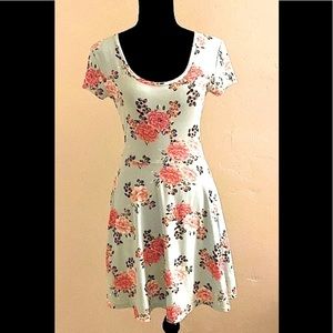 Light Blue/Green Floral Fit & Flare Skater Dress